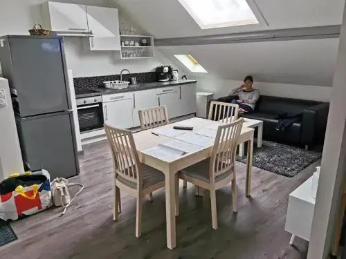 Suite Condorcet - Reims Hyper Centre Ville -6 Pers