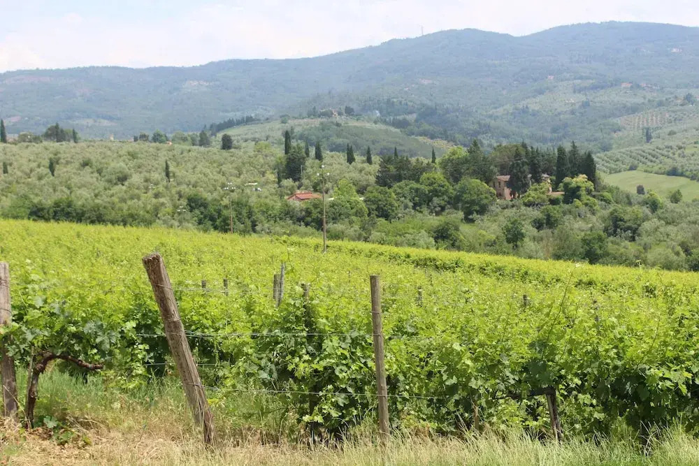 La Cascianella