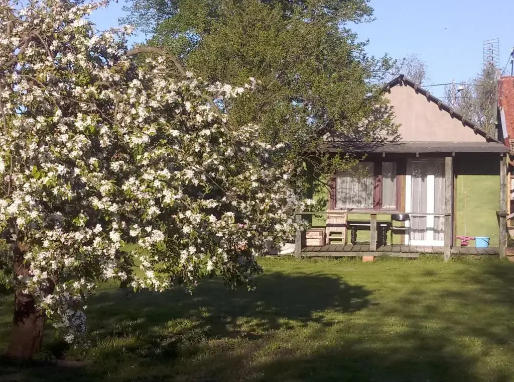 Domki nad Morzem "Dom Turysty MAG"