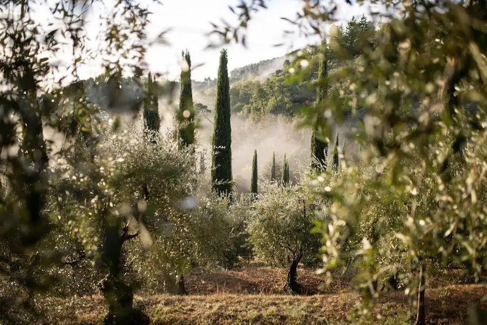 Luxury 6-bed Tuscan Villa near Lucca and Florence