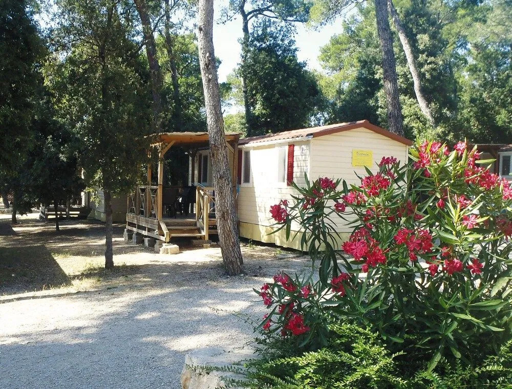 Glamping Camp Soline