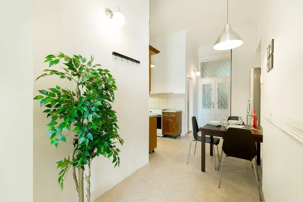 Király home by STN