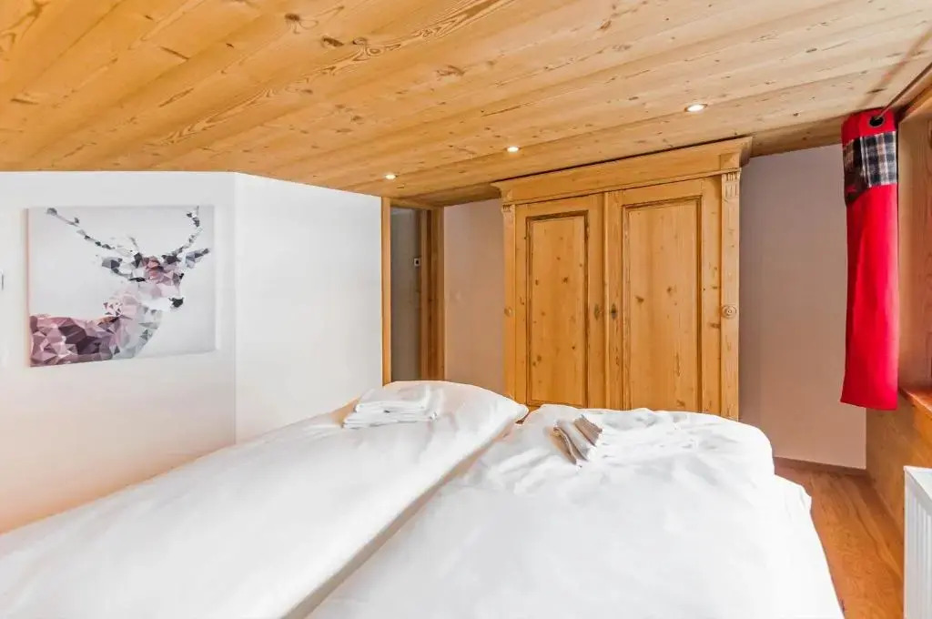 Chic Alpine Apartment for 5 - Perfect for skiers