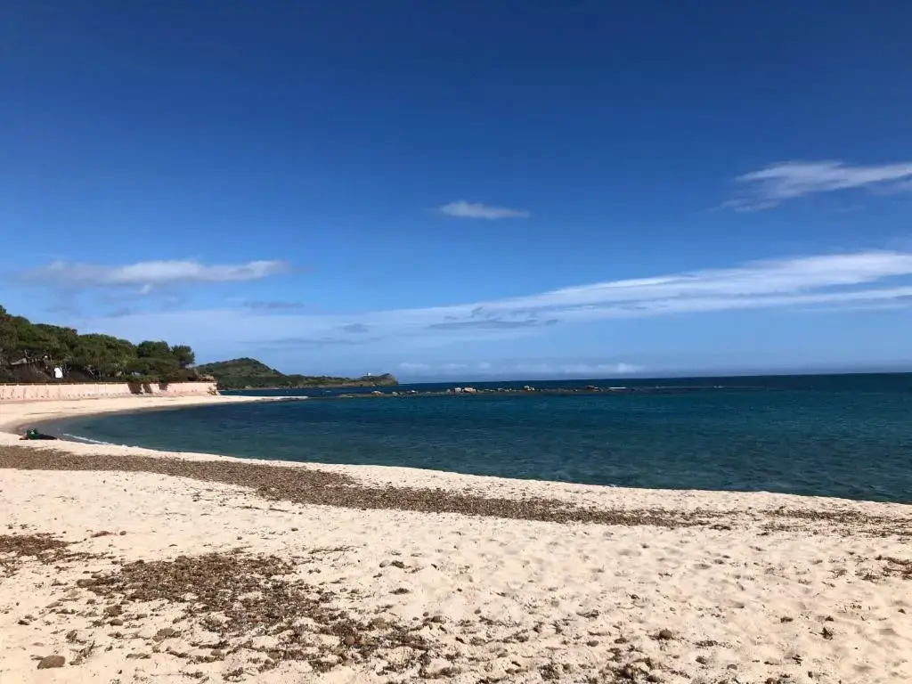 SaMurtaBianca 1