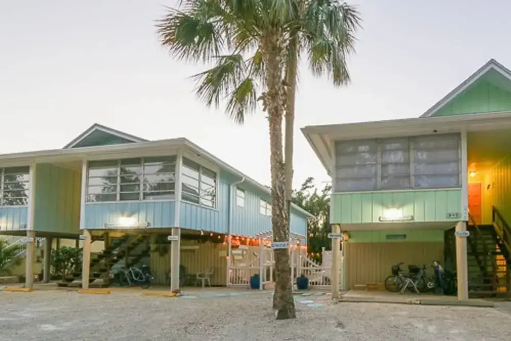 235 Mango - Sand Dollar