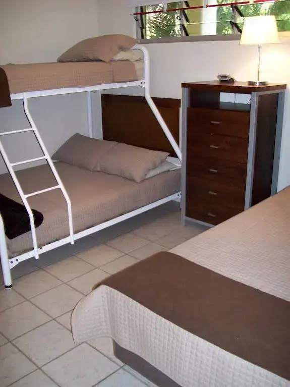 Frangipani 102