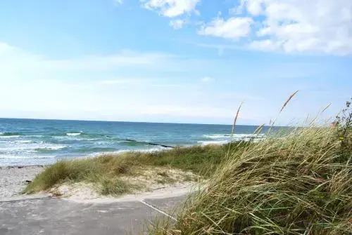 Pension Stranddistel