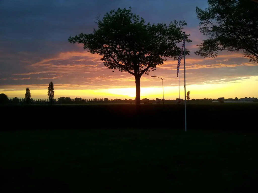 t Nieuwe Nest