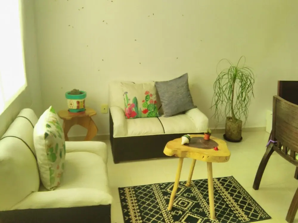 La Casa del Cactus