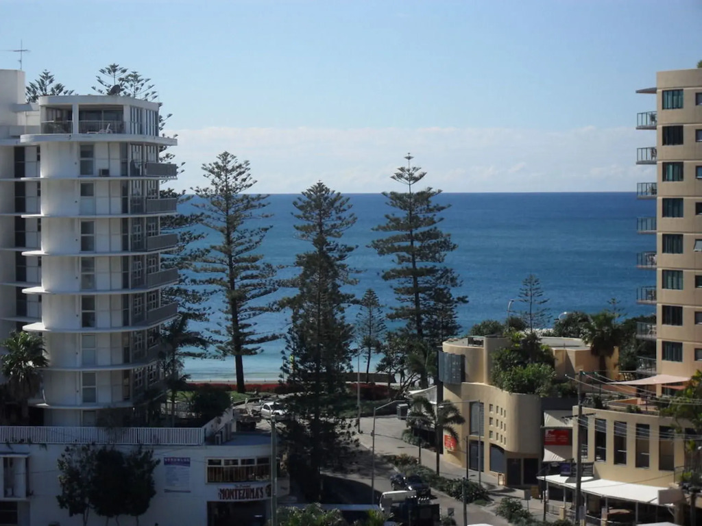 Pandanus Mooloolaba