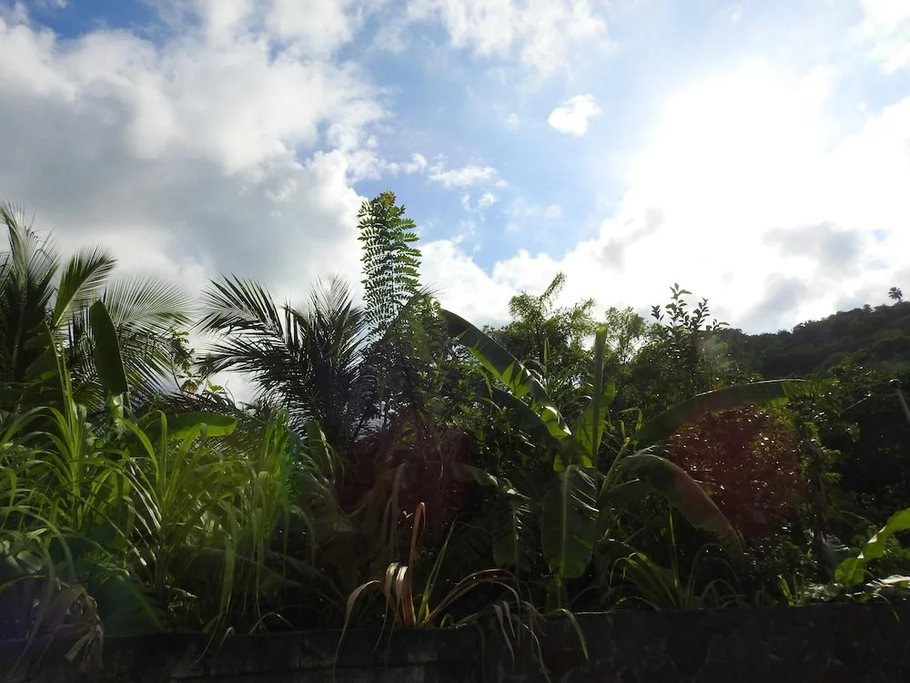 House with 2 Bedrooms in Le Robert, with Private Pool, Enclosed Garden And Wifi - 18 Km From the Beach