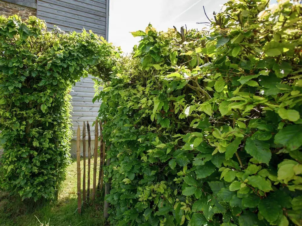 Stunning Cottage With Terrace in Manhay