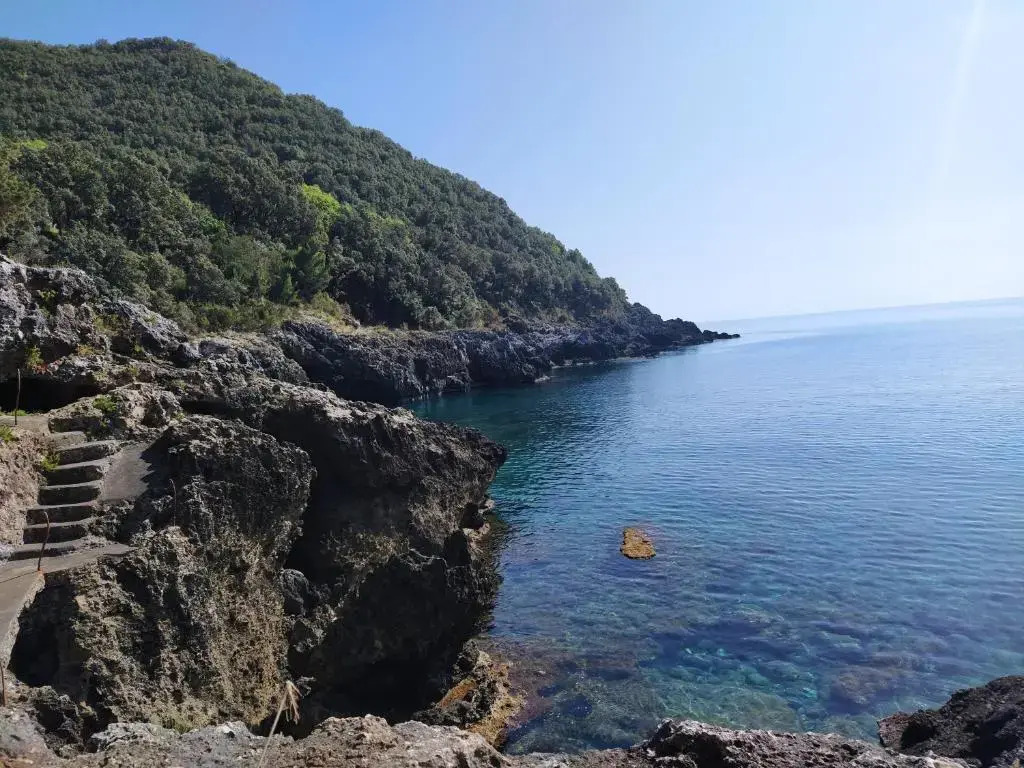 Judia Camere sul mare