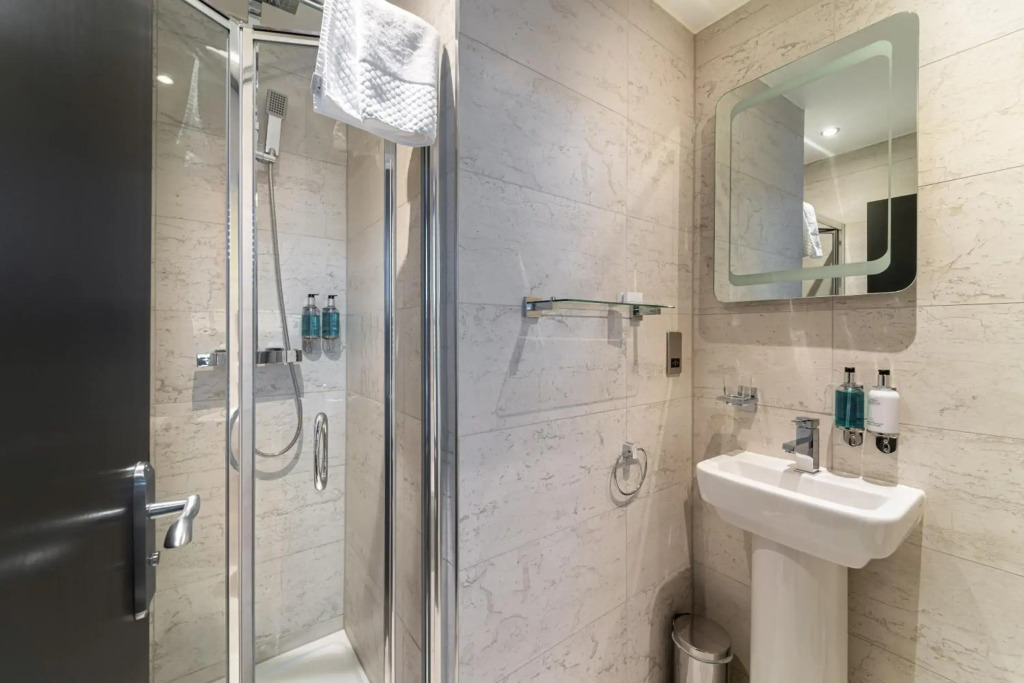 The Bold Hotel; BW Signature Collection