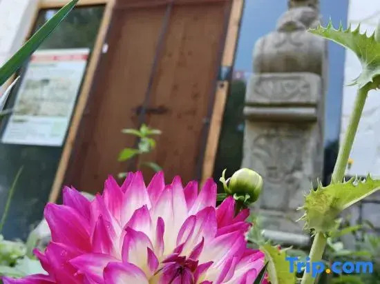 Yiru Homestay (Zhouzuling Yaowangdong Wellness Town Scenic Area)
