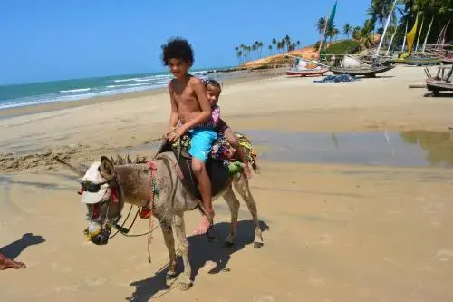 Brasil-Kite