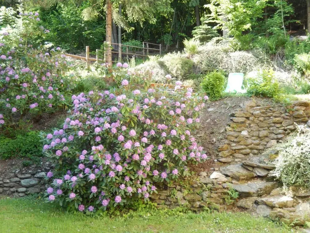 Haus am Wald