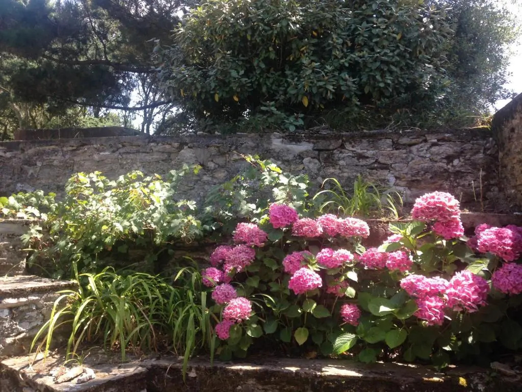 La Grogne