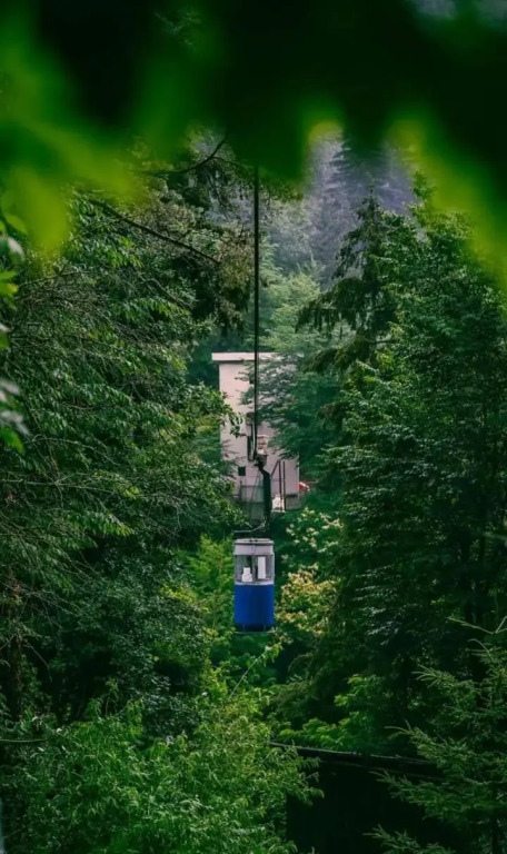 Nunisi Forest Hotel & SPA