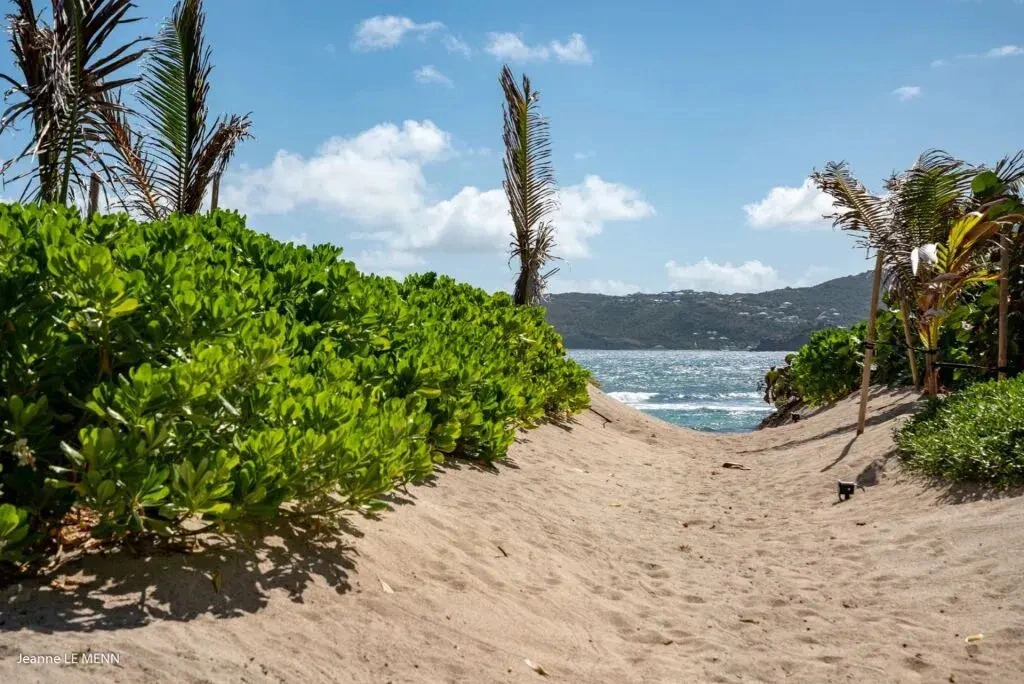 Dream Villa Anse des Cayes 881