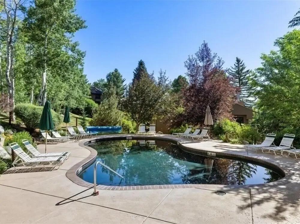 Remodeled Snowmass Pet-Friendly Modern 1BR Condo - G125