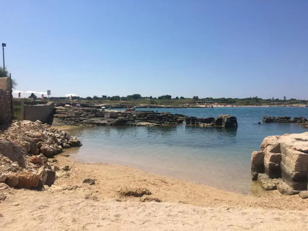 Almarea Blu e Smeraldo - appartamenti in villa vicino al mare - affitto breve