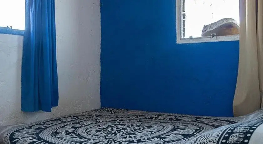Viejo Lobo
