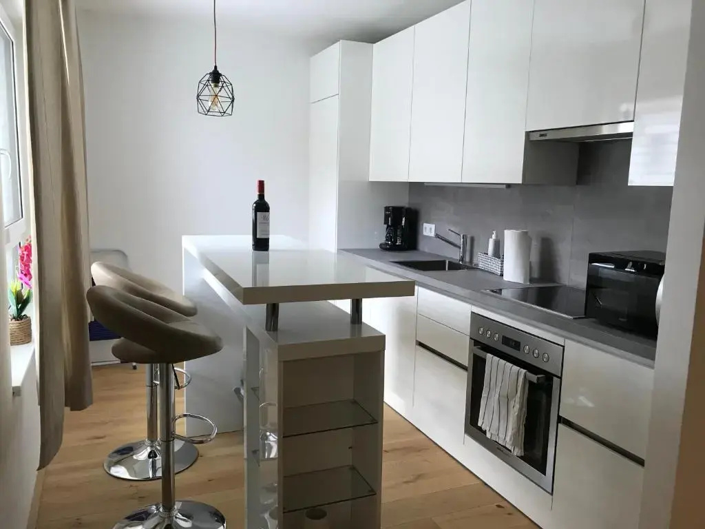 Spacious, Modern 1-bdrm Apt near VIC & Austria Ctr
