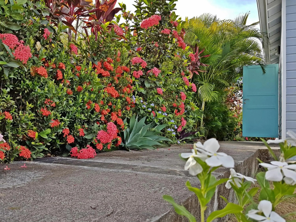 Blue Haven Villa 2