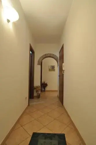 I Leoncini