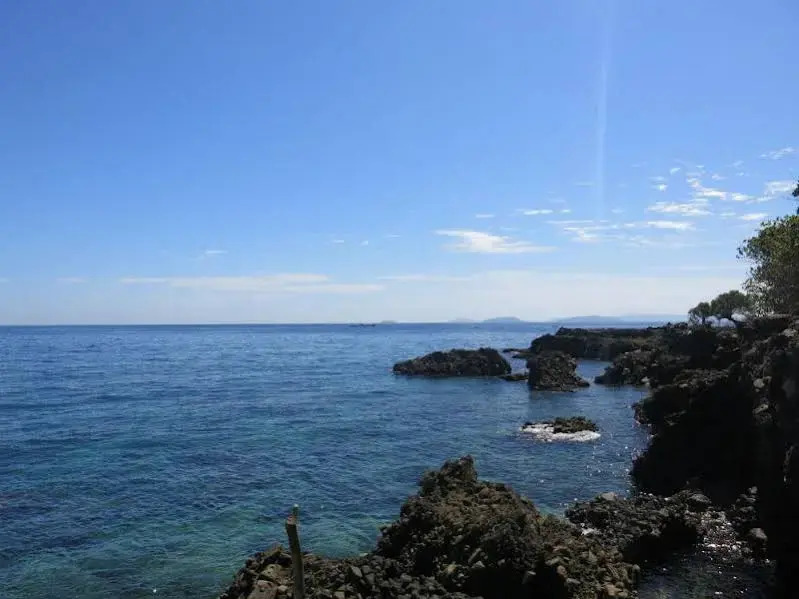 Badladz Beach and Dive Resort