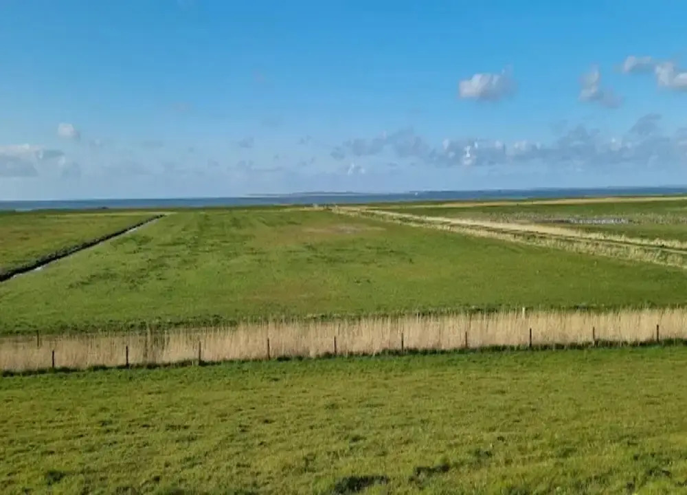 House in Dornumersiel Near Sandy Beach