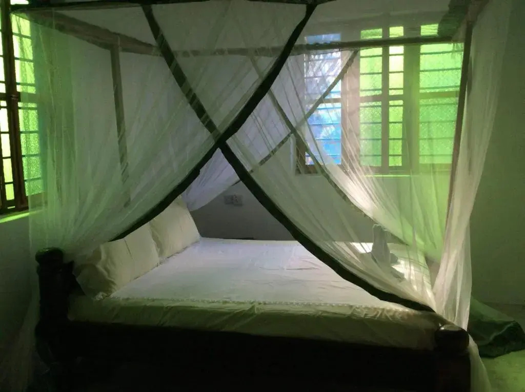 Every change begins with dreams Luis Holiday House is your dream