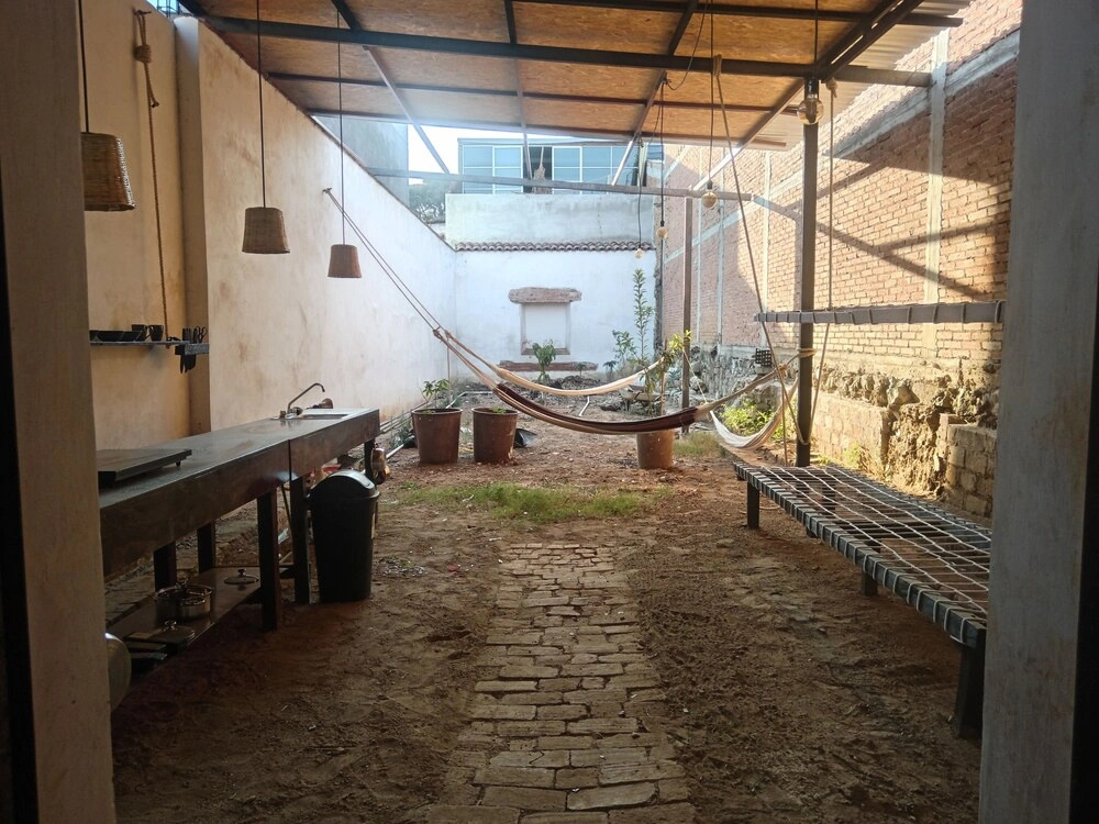 Iguana Coliving