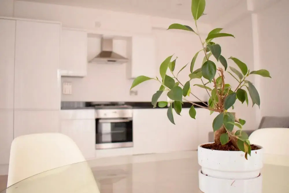 Bright 1 Bedroom Apartment in South London