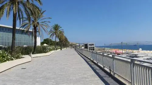 Savonaamare