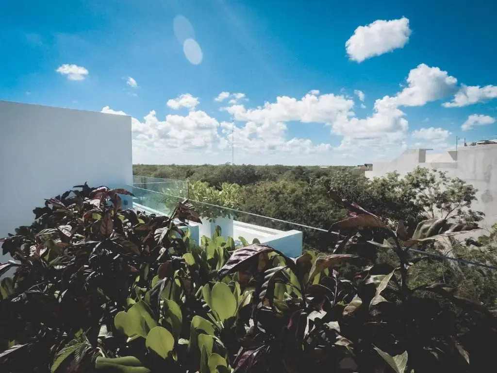 Brand New Two Br Penthouse With a Private Roof Patio! Totally Equipped