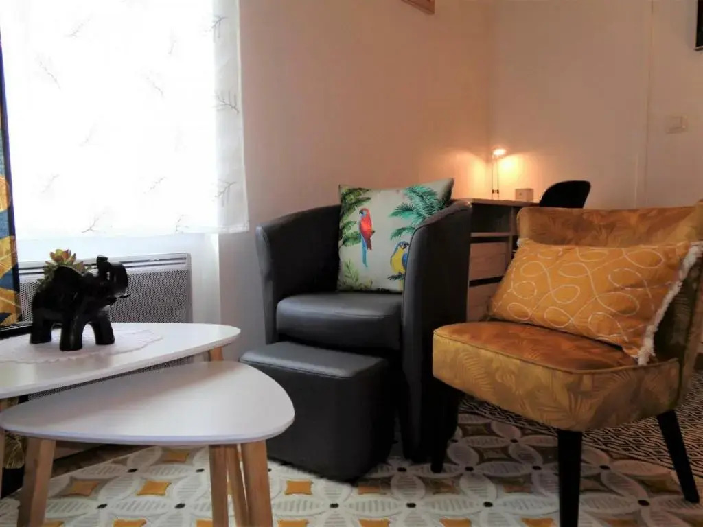 Gite Roanne, 2 pièces, 2 personnes - FR-1-496-237
