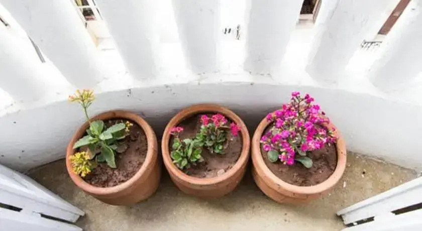 Casablanca Home Stay Apartment