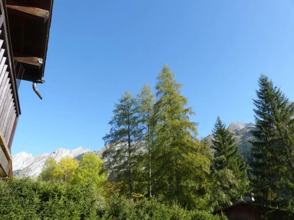Appartement La Clusaz, 2 pièces, 4 personnes - FR-1-437-68