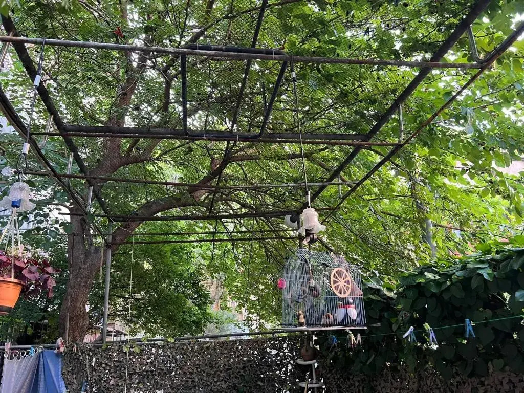 3 Room Flat in Tbilisi