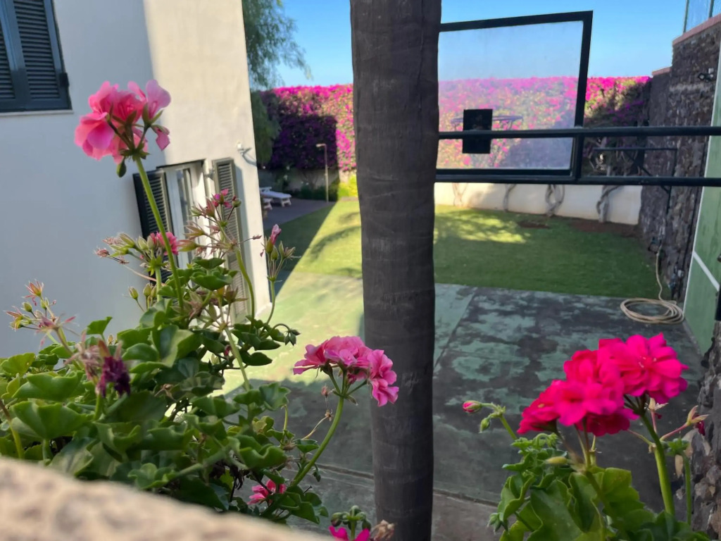 Dream Garden