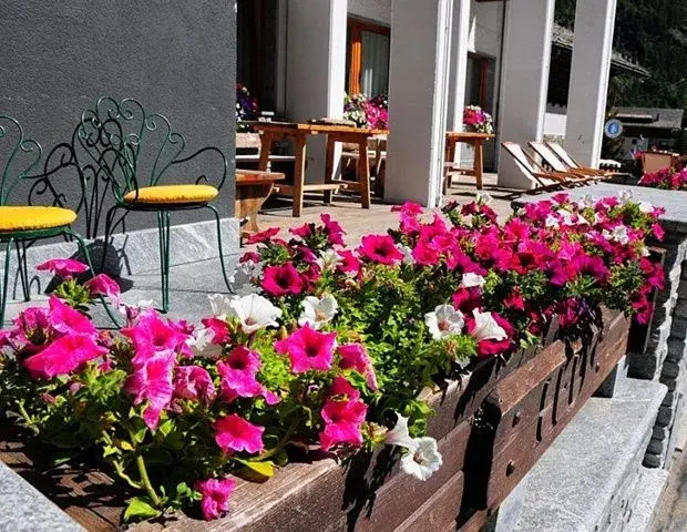 Residence Dufour
