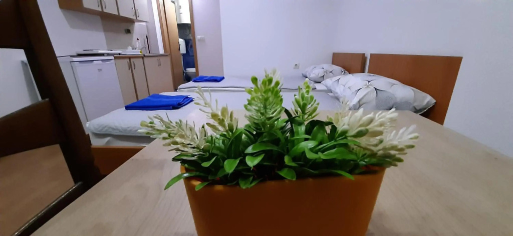 Apartment Riki 1