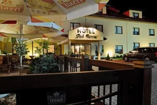 Hotel Pod Borem