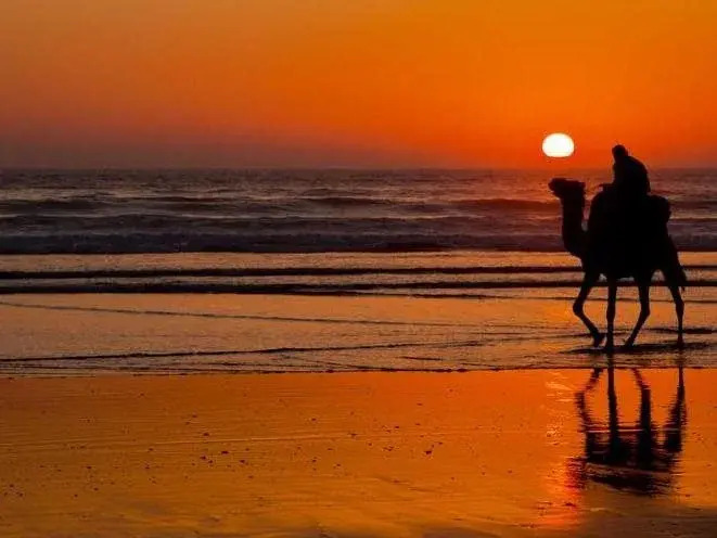Sunset Surfhouse Morocco
