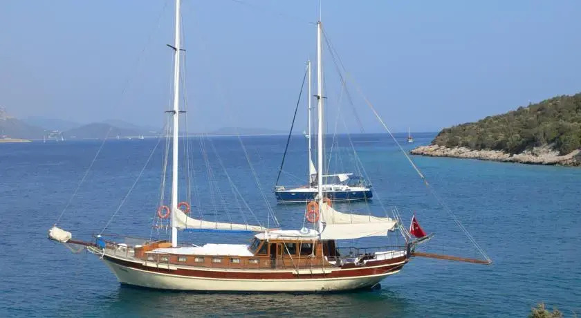 Boat Onelli