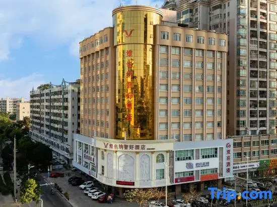 Vienna Classic Hotel （ ZhanJiang coastal   park sea view gallery hotel  ）