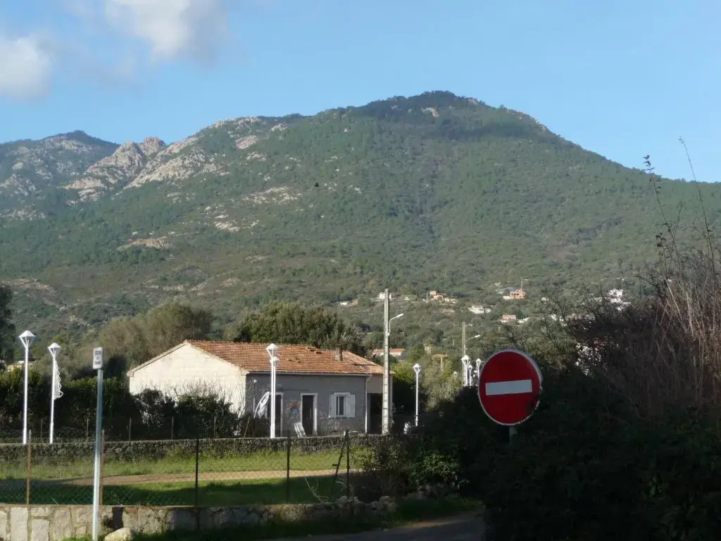 Carestella