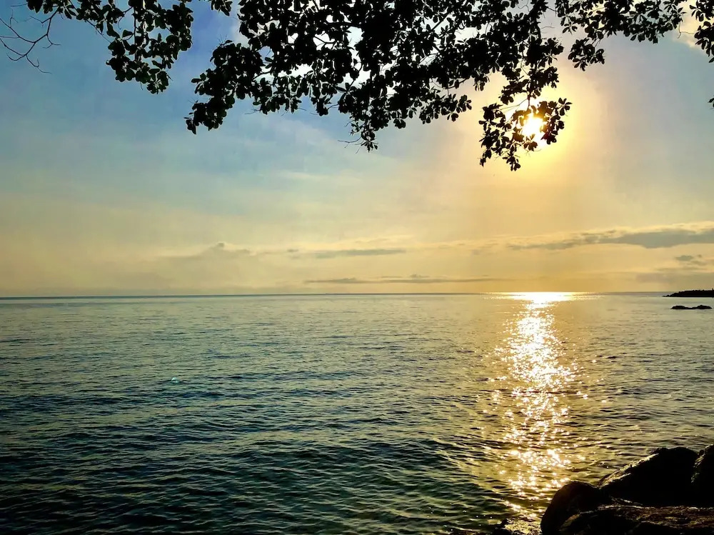 Daintree Manor B&B
